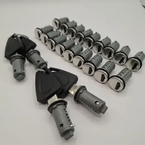 Set STS Oberholz 22 Zylinder/ 4 Schlüssel Garantierte Lieferung